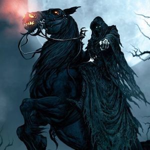 Meet your Posher, Luis